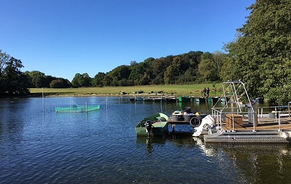 Blick auf den Kellersee mit Bootsanlegestelle