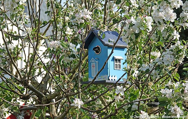 Vogelhaus im Garten