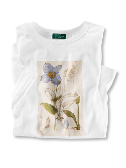 RHS-Print-Shirt aus dem „Curtis’s Botanical Magazine“