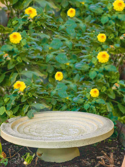 'Shenstone Theatre Bird Bath and Drinker'