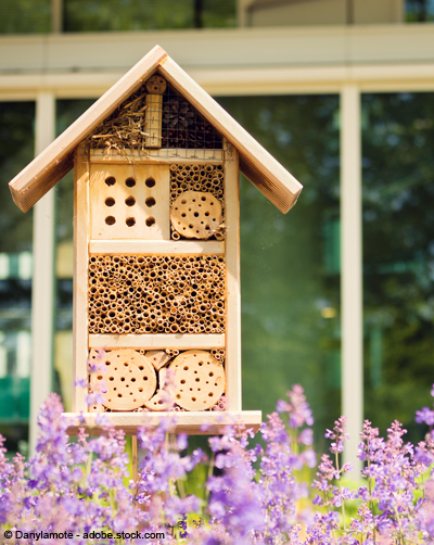 Insektenhaus