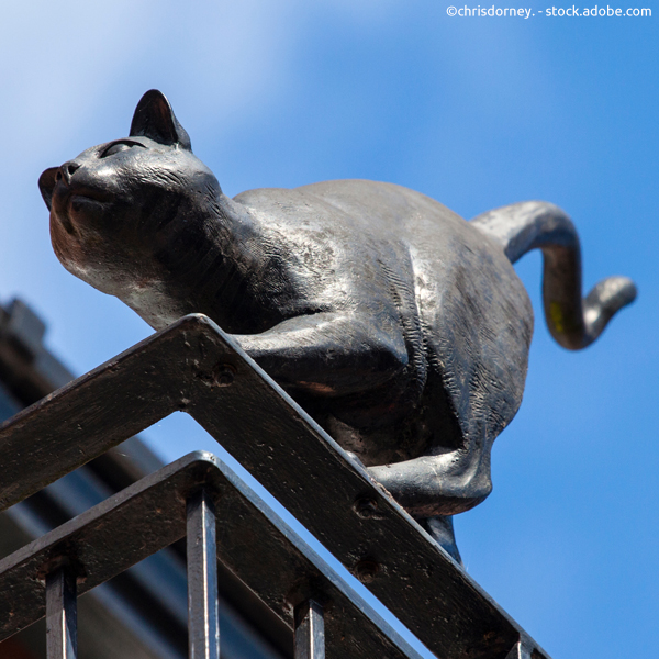 Katzenstatue York Cat Trail